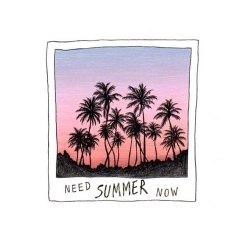 Summer Palmtree Picture