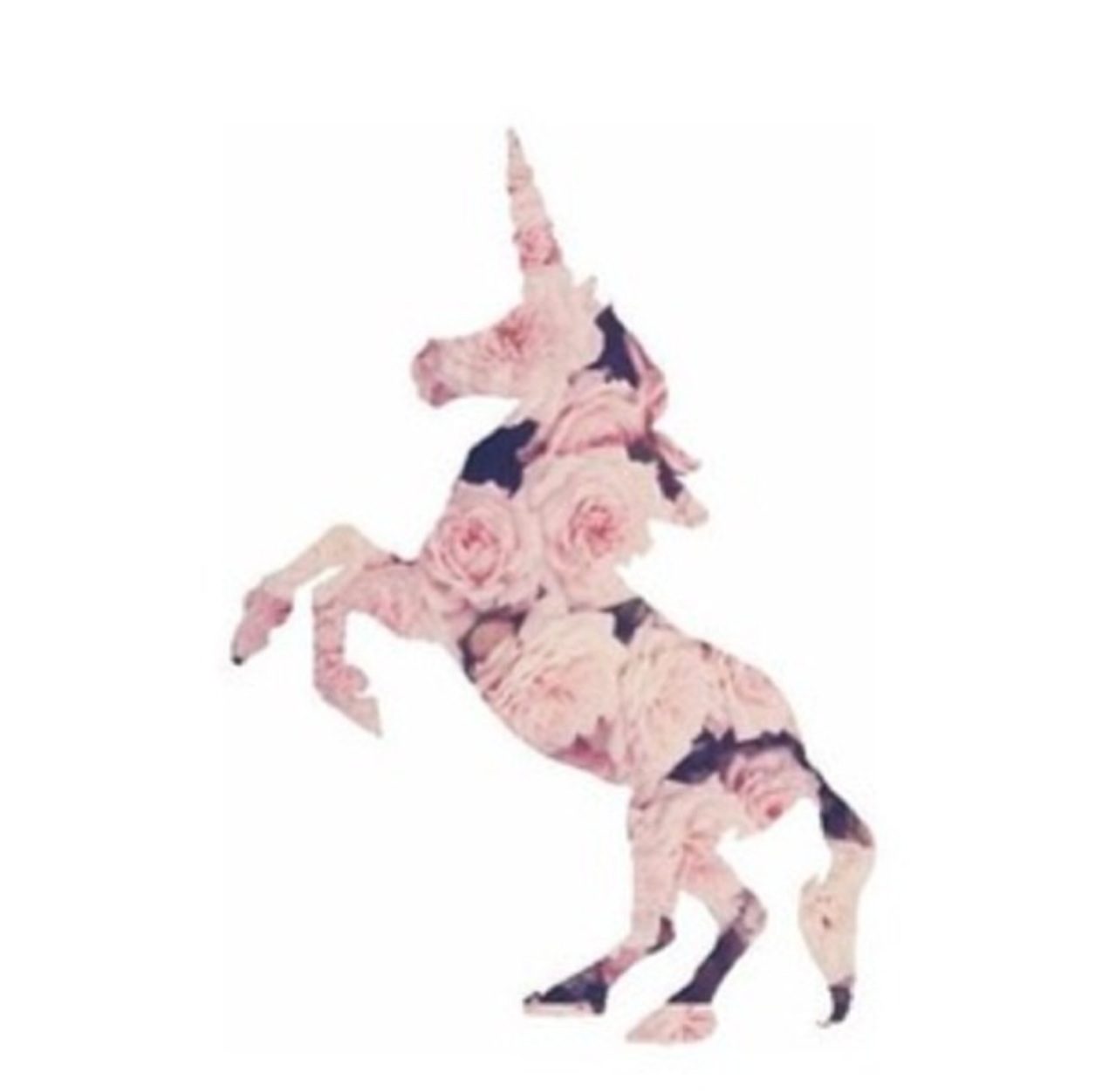 Flower Unicorn
